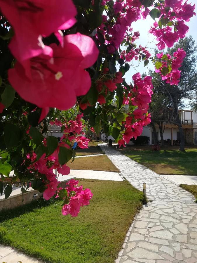 Marzi Beach And Bungalows Hotel Kokkonion Luaran gambar