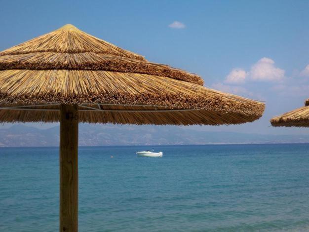 Marzi Beach And Bungalows Hotel Kokkonion Luaran gambar